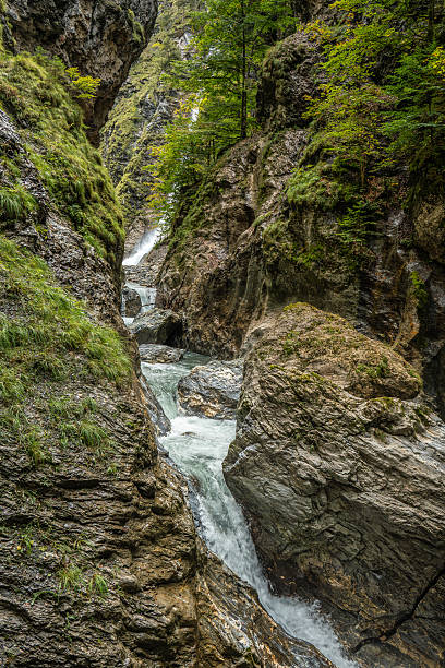 A fast-moving mountain stream carves its way through the steep, rocky walls of the Liechtenstein Gorge. Surrounded by moss-covered cliffs and vibrant alpine trees, the scene showcases the raw power and serenity of nature.