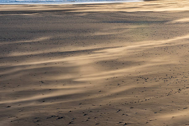 istock Windblown sand patterns on beach at sunrise, New Brighton, Wirral, Merseyside, England, Britain 2239511164