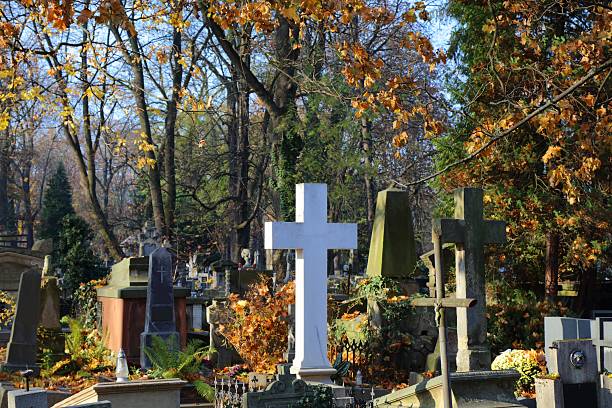 istock Rakowicki Cemetery autumn view in Krakow 2239513490