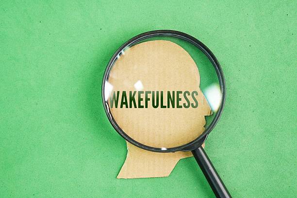 istock Magnifying glass and a person's head shape with the word wakefulness. 2239514950