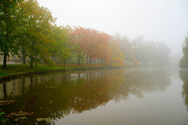 Trees covered in a blanket of mist during a fall morning along the city canal in Zwolle,  Overijssel, The Netherlands.. The treetops are popping out over the thick fog with some of the trees starting to change color during the annual autumn season. The fog is giving the landscape a mystical atmosphere.