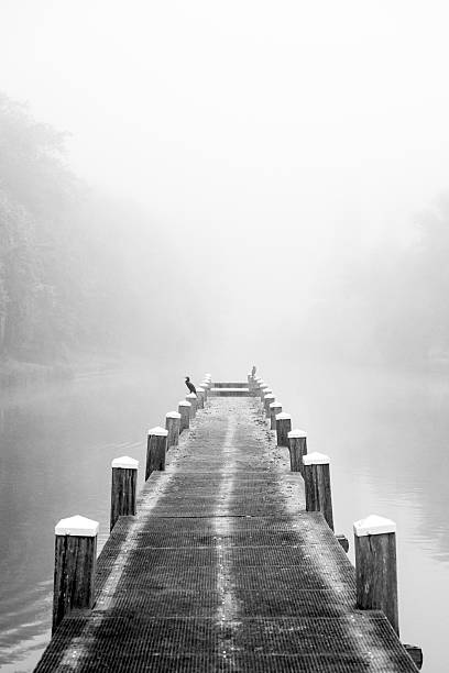Wooden dock by a misty lake