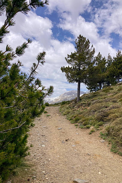 istock Trail to Mulhacen peak in the spring 2239518849