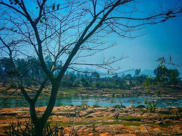 A dark, bare-branched tree dominates the foreground, framing a wide river flowing over a rocky, burnt-orange bed. The scene is set under a deep blue sky, with distant green hills visible.
