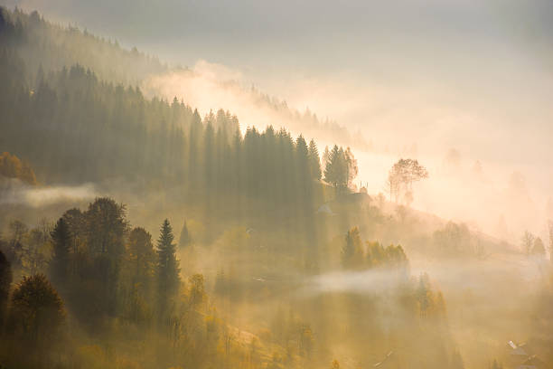 istock rising fog in valley 2239527486