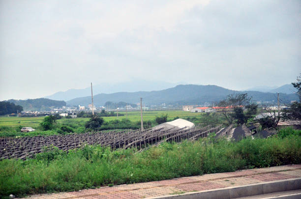 Rows of crops stretch across fertile fields near a small town on Ganghwa Island, South Korea. A white tent-like structure sits among the greenery, with low hills and cloudy skies framing the agricultural landscape. Ganghwa Island, South Korea.  August 23, 2013