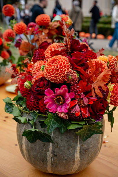 Arrangement of vibrant orange, red, and pink autumn flowers, dahlias, roses, and zinnia, decorating a table in a pumpkin vase, creating a beautiful fall centerpiece