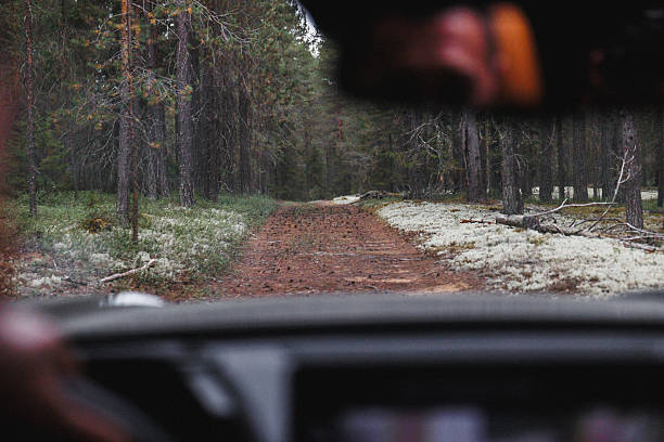 istock Enjoy a serene forest drive on a rustic path and immerse in natures exquisite beauty 2239537014