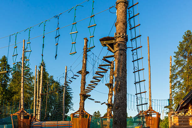 Wooden platforms and rope bridges rise among tall trees in a bright adventure park. The golden hour light adds warmth and energy to this outdoor challenge structure.