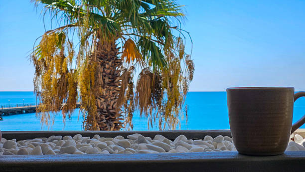istock Morning coffee with sea view and palm trees 2239543079