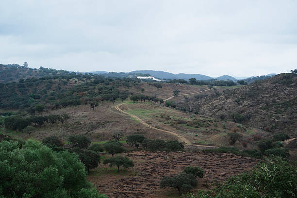 Photo of a landscape in the Alentejo district, South of Portugal.