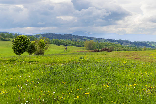 Green grass field with distant trees, mountains, and a hunting blind under a cloudy sky
