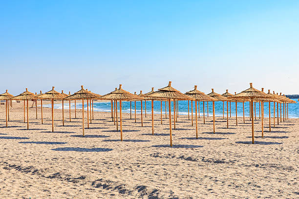 Sunny beach with empty straw parasols and clear blue sky.