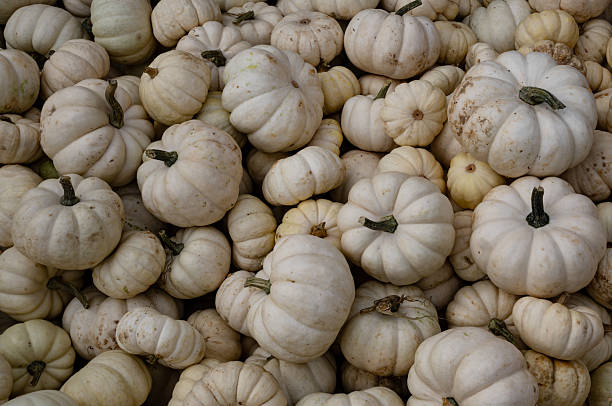 istock pumpkins, autumn, halloween, orange 2239545329