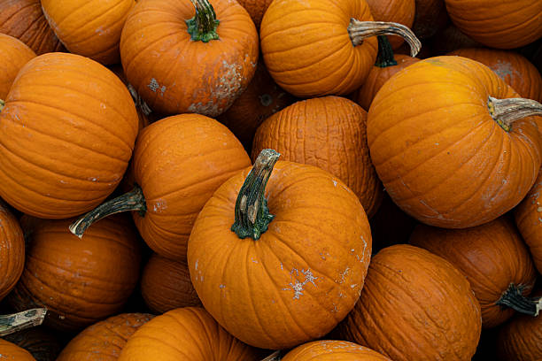 istock pumpkins, autumn, halloween, orange 2239545337