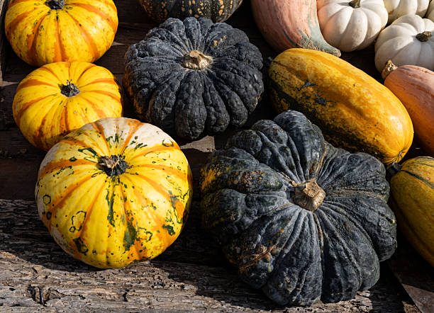 istock pumpkins, autumn, halloween, orange 2239545355
