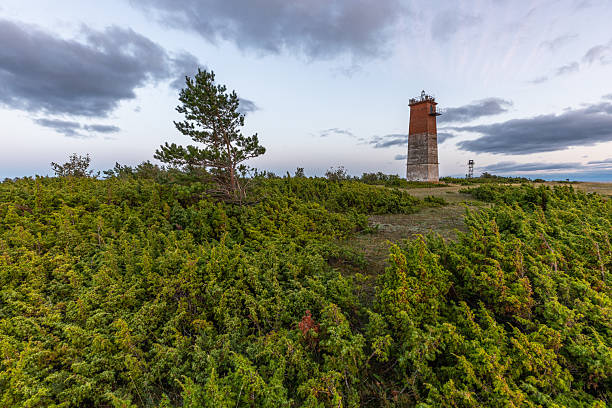 istock Old lighthouse tower on Saaremaa island, Estonia. 2239546657