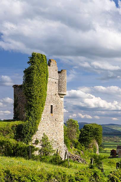 istock Ancient stone tower ruin covered in ivy against a cloudy sky, evoking history 2239547581