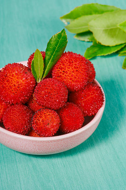 istock arbutus berries in a pink ceramic bowl with leaves 2239549133