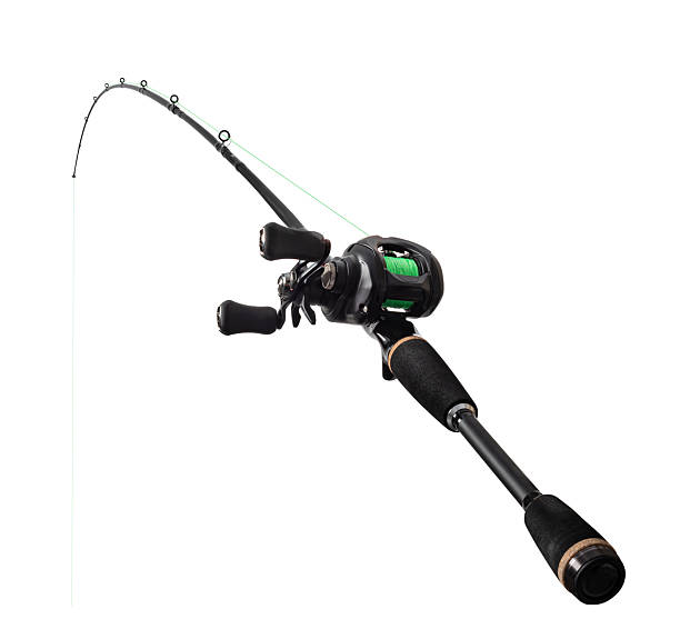 Spinning rod for fishing isolated on white background