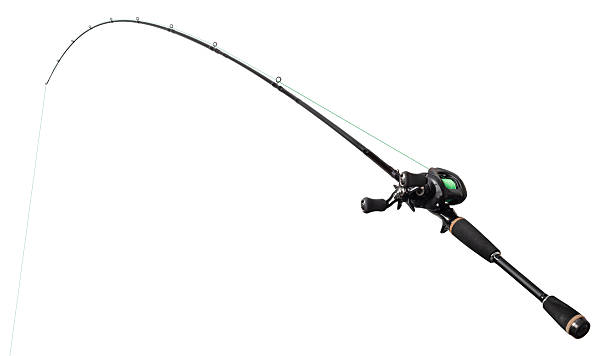 istock Spinning rod for fishing 2239552367