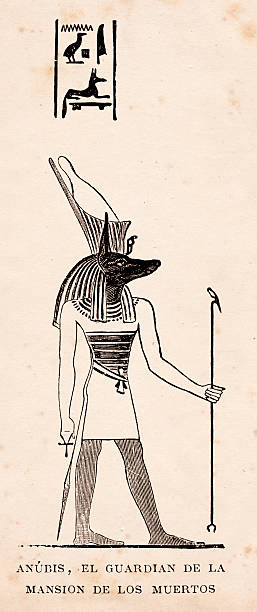 istock Ancient egyptian hieroglyph of Anubis goddess of death 2239553090