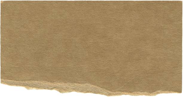 Brown kraft torn paper piece. Textured ripped cardboard scrap with space from text. Background for vintage-inspired designs and paper crafts, scrapbooking