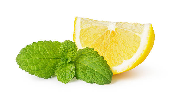 istock Fresh mint leaves resting on sliced lemons on white background 2239555344
