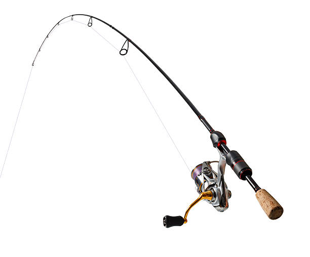 istock Fishing rod with spinning reel and line displaying bending action 2239555429