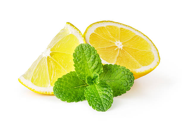 istock Fresh mint leaves resting on sliced lemons on white background 2239555536
