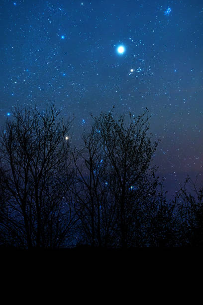 istock Milky Way stars with countryside tree silhouettes. 2239557025