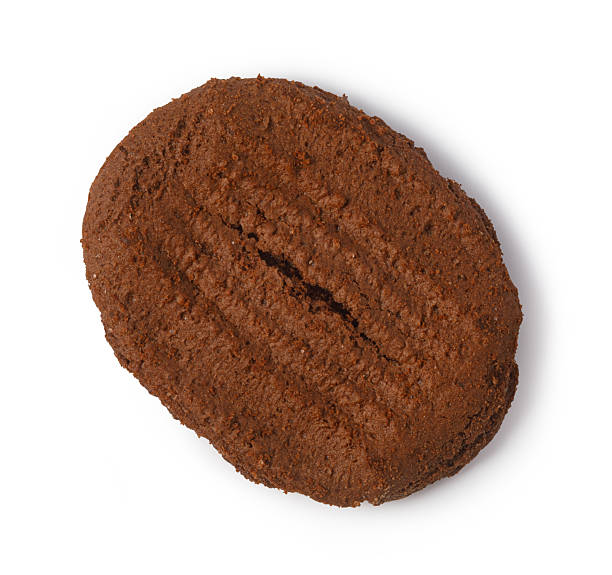 istock Coffee bean shaped chocolate cookie isolated on white 2239557222