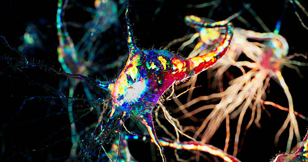 istock A glowing neuron emits vibrant rainbow hues in a stylized microscopic view. 2239558466