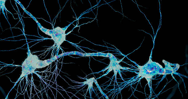 istock A group of neurons spreads their dendrites in multiple directions under cold light. 2239558484