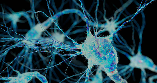 istock Long axons stretch between glowing neurons in this microscopic view of brain cells. 2239558520