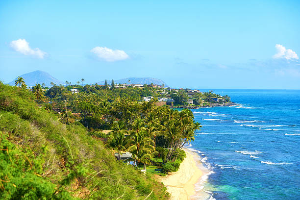 istock Scenic tropical coastline with lush vegetation, sandy beaches, and ocean views in Hawaii. Waikiki area. Honolulu. Oahu. 2239558564