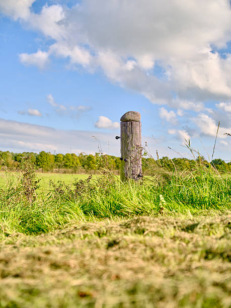 A lone wooden fence post rises from a grassy field under a bright blue sky scattered with fluffy clouds. The scene evokes calm, solitude, and the beauty of Denmarkâs countryside. Soft, natural light highlights the textures of grass and weathered wood, inviting reflection and a sense of spacious freedom.