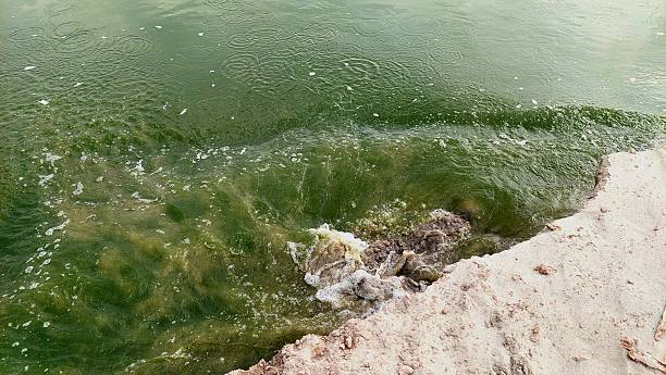 istock Dramatic Riverbank Collapse with Turbulent Water and Sandy Sediment 2239562305