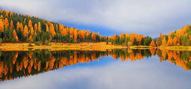 istock Nature. Lake and autumn forest. Symmetrical composition. Panoramic view. Reflections on the water surface. Incredible view of the nature. Photo for background, wallpaper, postcards. 2239569761
