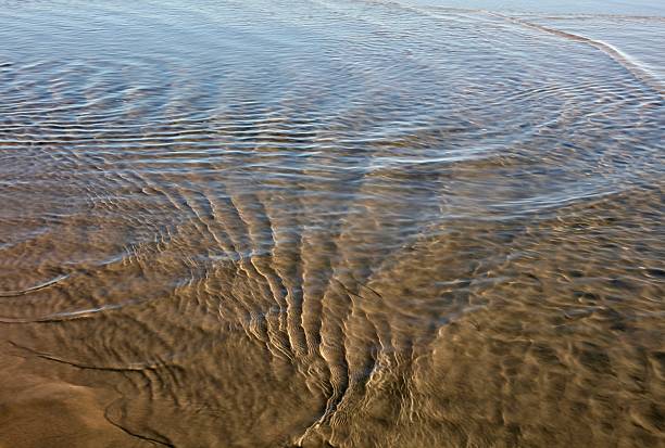 istock Sunlit Ripples Swirling in a Tide Pool 2239574156