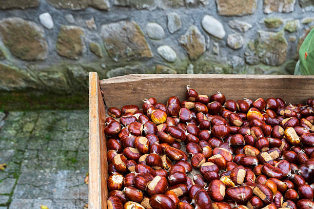Fresh fruits of chestnut on a market stall
