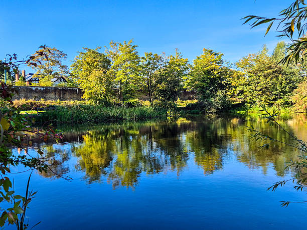 A landscape view of Iremongers Pond with trees and a lake with mirror reflection in Nottingham, UK.