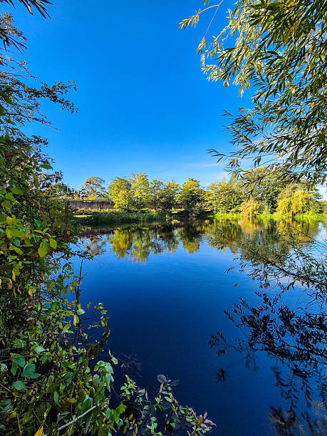 istock A landscape view with trees and a lake with mirror reflection in Nottingham, UK. 2239581035
