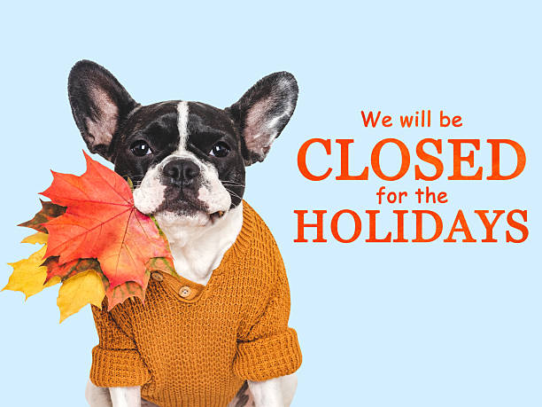 istock We will be closed for the Holidays. Cute puppy 2239581345
