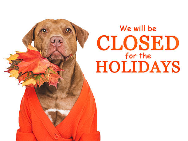 istock We will be closed for the Holidays. Cute dog 2239581360