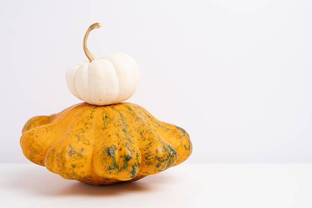 Multicolored pumpkins on a white table. Design template against a pumpkin backdrop. Still life. Cozy autumn concept.