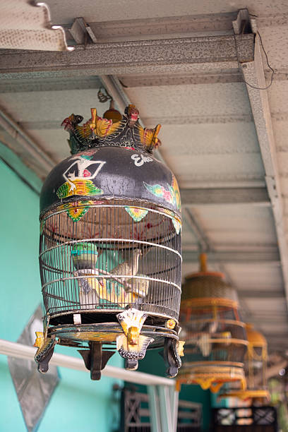 istock Elaborately Decorated Traditional Birdcage with Bird Inside 2239584174
