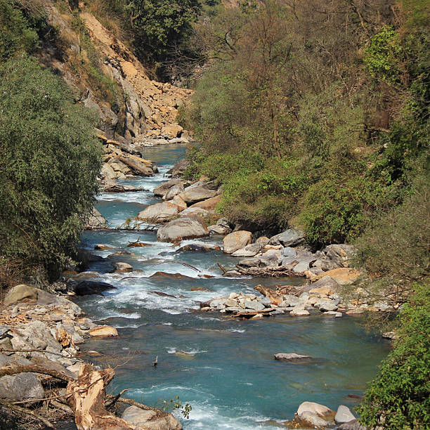 Langtang Khola, river near Shyaphru Besi, Nepal.