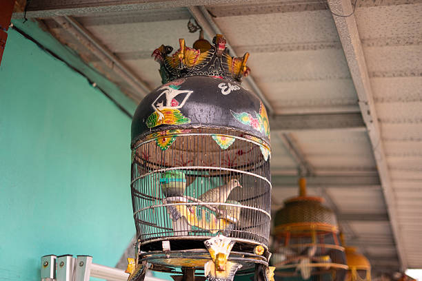 Colorful Traditional Birdcage with Perched Bird Under Roof Structure