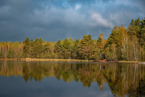 Forest lake in golden autumn. Landscape